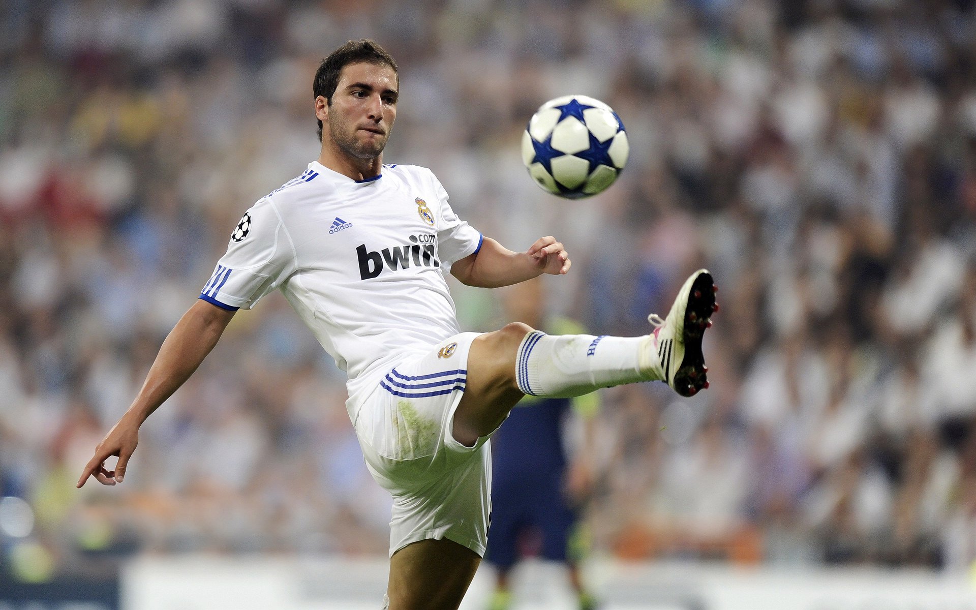 全明星名额是否分配合理,全明星有几个名额