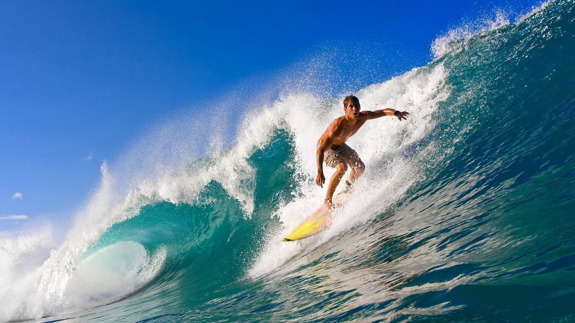 吉林队奋力拼搏，展现团队凝聚力，展现团队凝聚力的句子